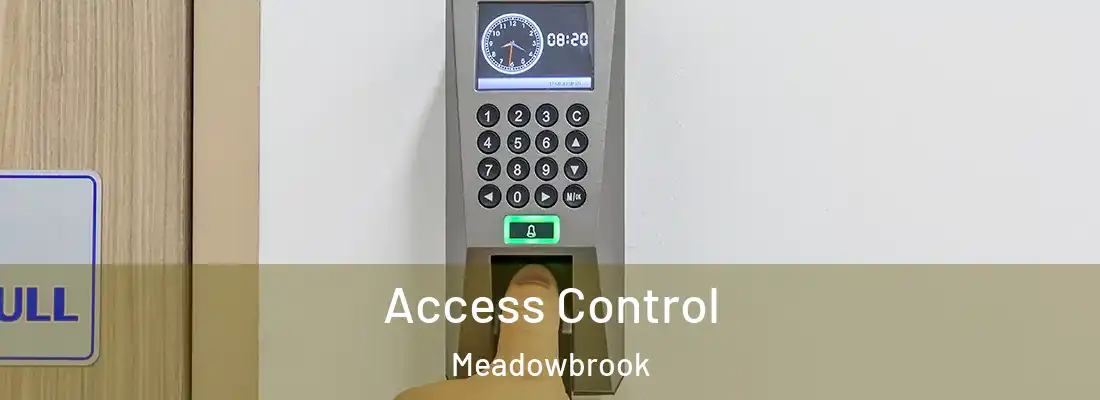 Access Control Meadowbrook