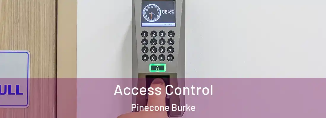 Access Control Pinecone Burke