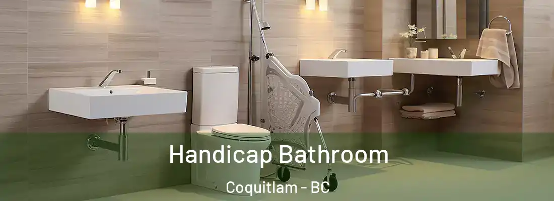 Handicap Bathroom Coquitlam - BC