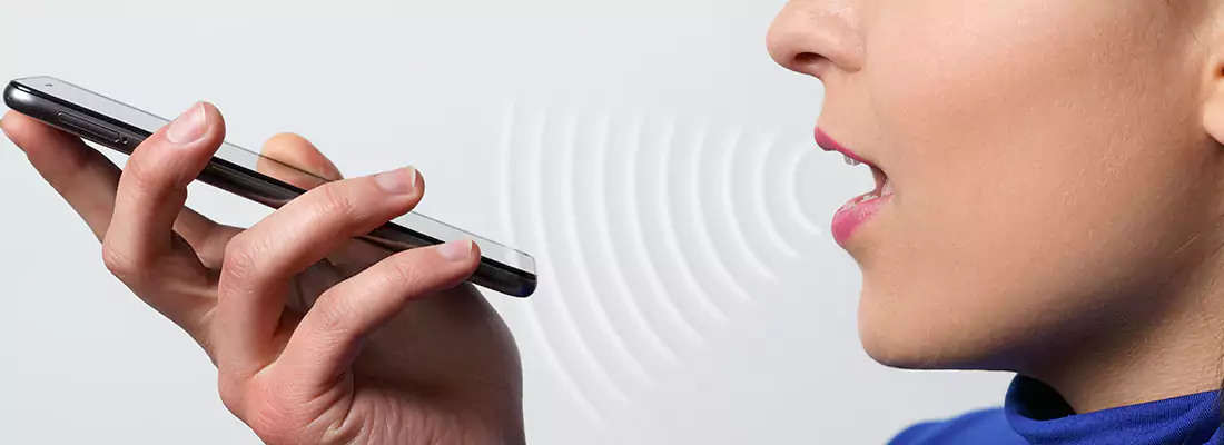 Residential and Commercial Voice Recognition Access Solutions in Coquitlam, BC